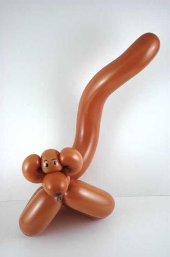Monkey